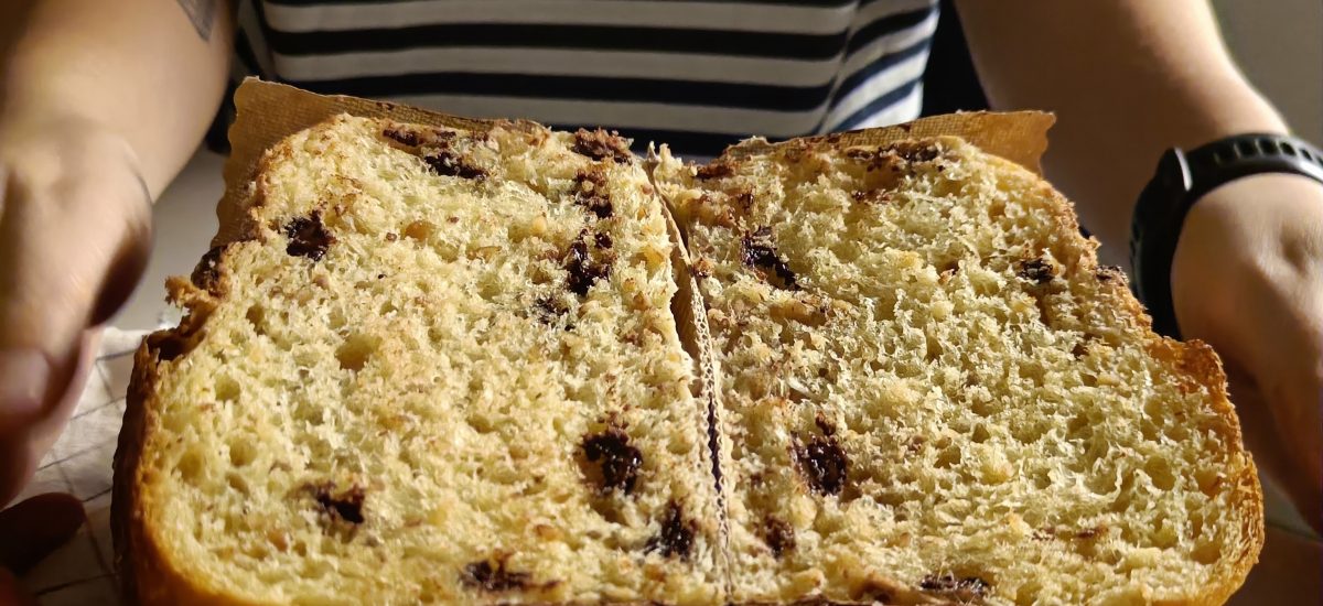 Panettone z drožmi