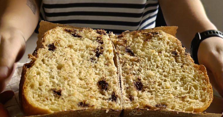 Panettone z drožmi